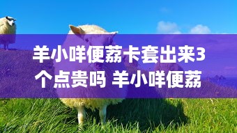 京东白条取现最多多少 揭秘京东白条取现，最高额度是多少？案例分析带你了解