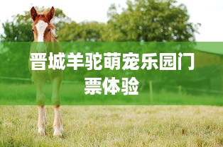 韶关萌宠乐园工程招标公告
