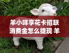微信分付提现二维码小额度 微信分付小额度提现攻略，轻松提取零花钱，二维码操作指南！