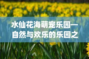 抖音月付怎么出额度提现 抖音月付额度提升与提现攻略，轻松解锁你的零花钱！