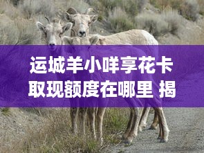 圣连岛萌宠亲子乐园体验记