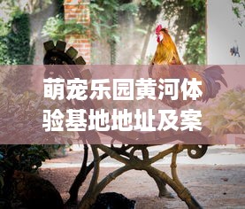 北辰萌宠乐园夜场时间表