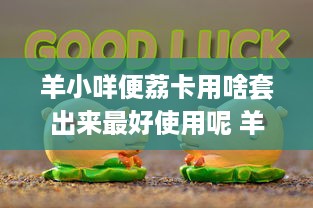 景德镇萌宠乐园运营方案