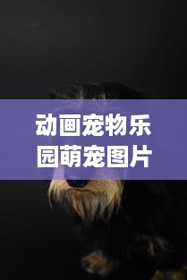 动画宠物乐园萌宠图片大全