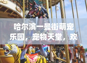 抖音月付在呢么套出来 揭秘抖音月付，揭秘在呢么套出来的奥秘！