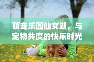 县派出所查酒店记录，流程、细节与案例解析