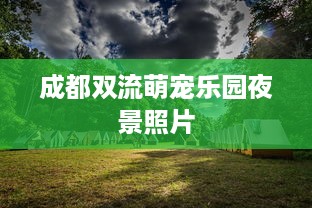 最新微信分付套出来方法 揭秘最新微信分付套出来方法，轻松解锁额度！