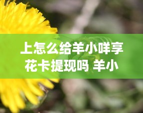 开房记录怎么查啊 揭秘开房记录查询，如何轻松获取他人入住信息？