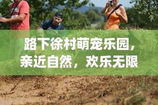 萌宠乐园比熊玩乐指南