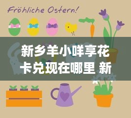萌宠乐园比熊玩乐指南