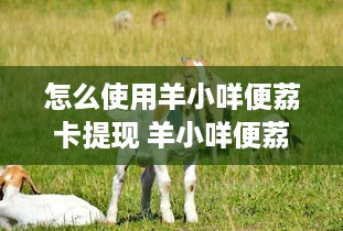 京东白条闪付pos取现 京东白条闪付POS取现，轻松便捷的现金需求解决方案