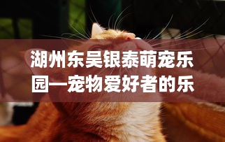 海童湾萌宠乐园的兴衰历程