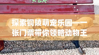 探索铜陵萌宠乐园—一张门票带你领略动物王国的魅力！
