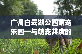 五彩萌宠乐园营业时间一览