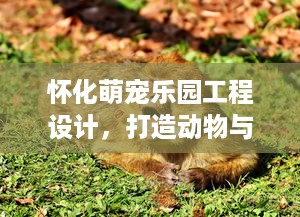 查一个人的开房信息 揭秘开房信息，如何查到一个人的住宿秘密？