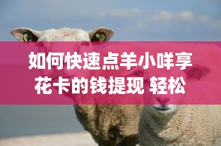 自己如何取现羊小咩便荔卡 轻松取现羊小咩便荔卡，你的钱包小助手！
