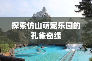 掌握桃多多额度提现技巧，轻松查询你的信用额度