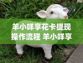 手把手教你玩转羊小咩便荔卡分期，亲测有效的套现攻略+避坑指南