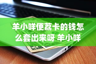 惠州萌宠乐园开发时间及案例说明