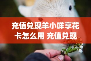 关于如何通过姓名查入住酒店记录的探讨