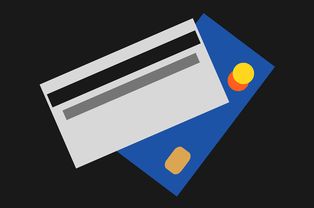 金海萌宠乐园招聘官网—招聘盛宴一览