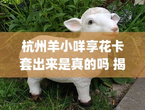 微信分付提现后能到账么 微信分付提现，钱能到账吗？揭秘提现那些事儿！