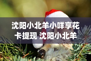 手把手教你办理羊小咩享花卡超市卡套，全流程+避坑指南