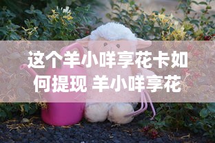 得物额度兑现，揭秘得物为何额度如此之高？