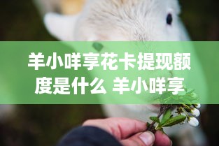 老虎滩萌宠乐园官网订票指南，轻松预订，欢乐无限！