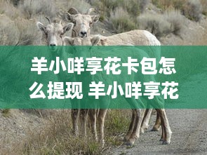 萌宠乐园门票限时秒杀乌海