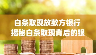 租房白条套出来 租房白条套出来，揭秘租房市场的新玩法