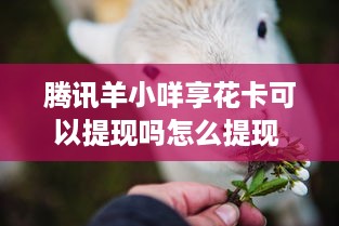 已经删除的微信聊天记录那些事儿