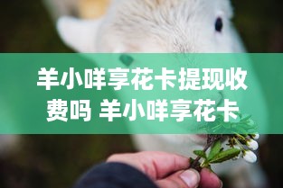 微信分付提现扫描 微信分付提现扫描，轻松操作，告别繁琐！