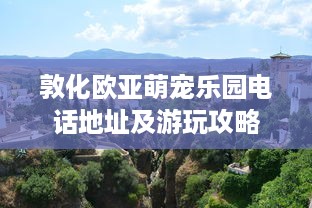 鹿优选额度提现指南，如何轻松管理您的当月可用额度