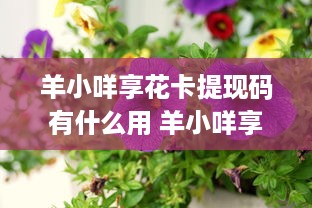 超星萌宠阿五游乐园—探索欢乐的奇幻世界