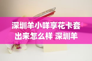 枣庄萌宠亲子游乐园政策概览