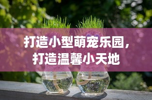 京东白条收款到账怎么提现 京东白条收款到账后，如何轻松提现到银行卡？