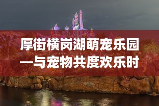 探索熊萌宠乐园团购的奥秘