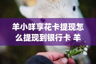 微信分付提现多长时间能到账 微信分付提现，钱款到账速度揭秘！