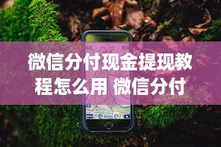 抖音月付怎么临时提现额度高 抖音月付临时提现额度提升攻略，轻松拿高额度，让你提现无忧！