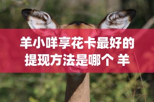 羊小咩便荔卡提现额度使用指南