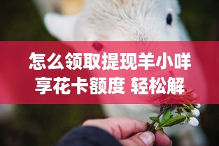 室内萌宠乐园除异味攻略