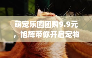 揭秘酒店开房记录查询背后的数据包秘密