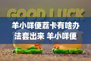 鲅鱼圈萌宠乐园在哪儿？