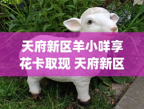 微信怎么查开酒店记录？详细步骤与案例解析