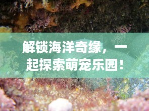 衡阳金甲萌宠乐园门票预订指南