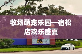 京东白条如和借钱提现 京东白条借钱提现攻略，轻松操作，资金到账快人一步！