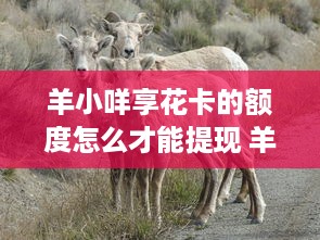 谁可以帮我盗我老婆的QQ聊天记录