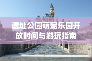 珠海京东白条使用指南，白条取现操作详解