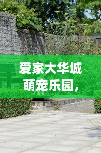 微信聊天记录监控全解析，合法边界与风险防范指南